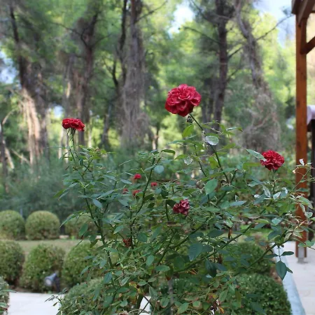 Villa Asteri Villa, Sani Luxury Collection *